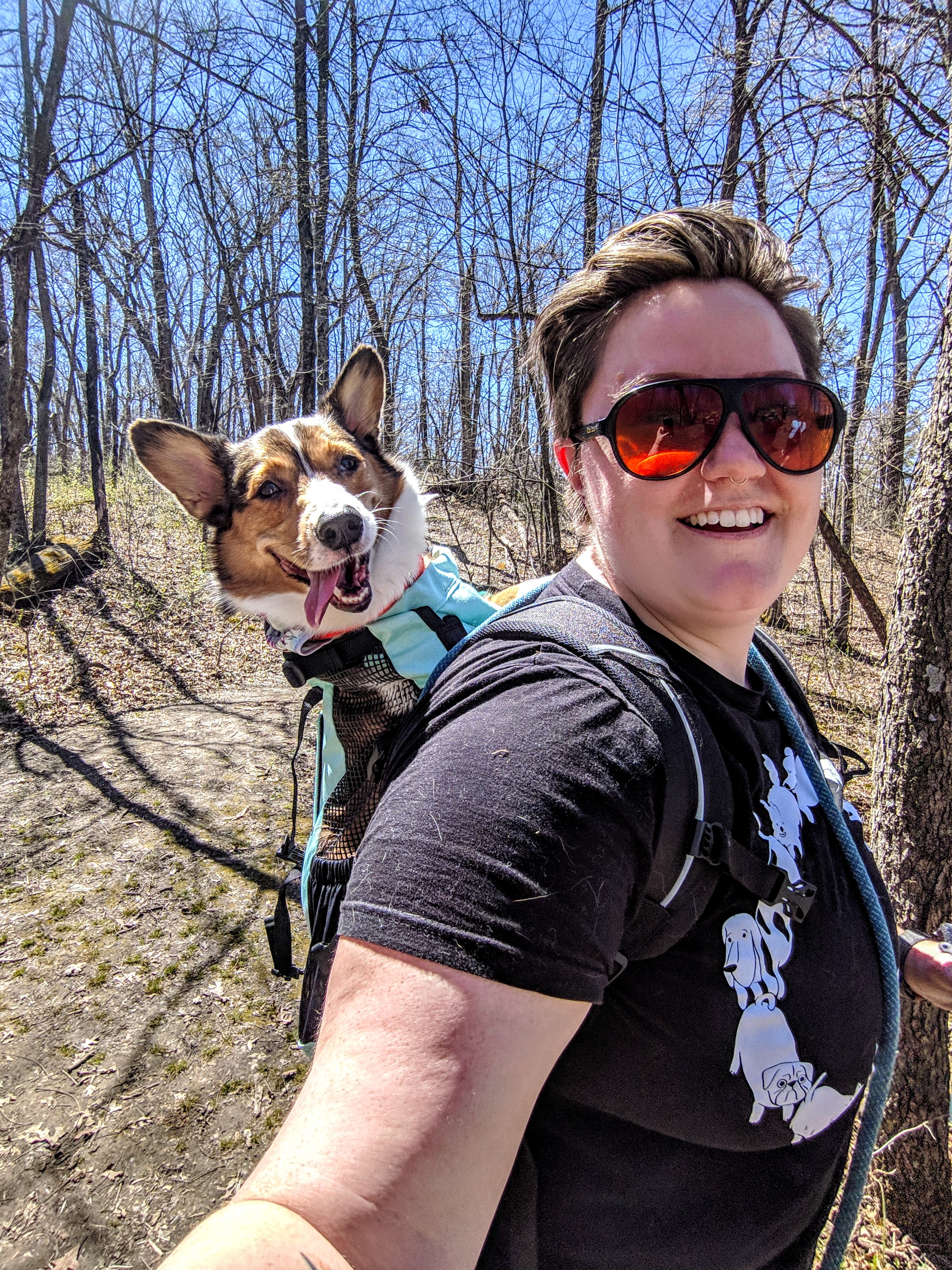 Tripawd dog backpack